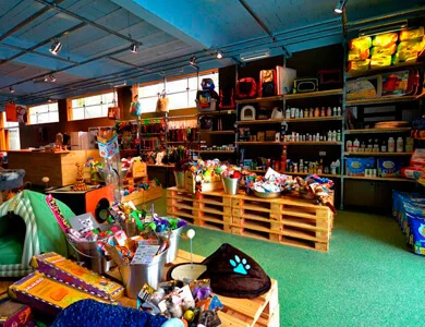 Climatização em petshop