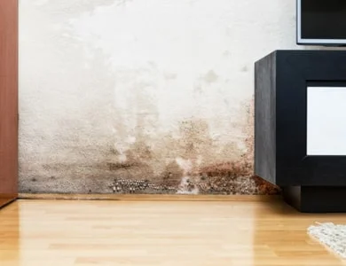 Como evitar o mofo em casa