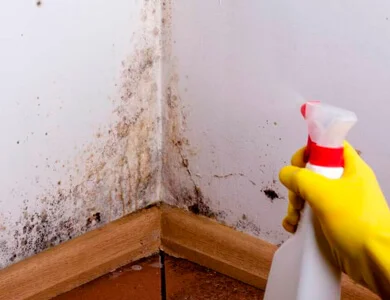 Umidade da sua casa: preocupações e soluções